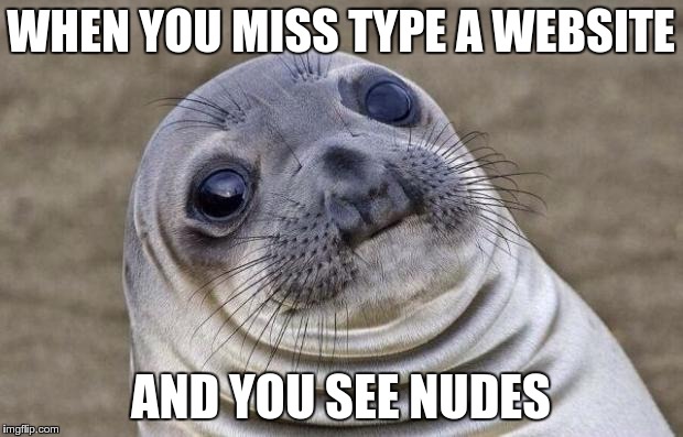 Awkward Moment Sealion | WHEN YOU MISS TYPE A WEBSITE AND YOU SEE NUDES | image tagged in memes,awkward moment sealion | made w/ Imgflip meme maker
