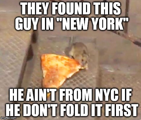 pizza rat | THEY FOUND THIS GUY IN "NEW YORK" HE AIN'T FROM NYC IF HE DON'T FOLD IT FIRST | image tagged in pizza rat | made w/ Imgflip meme maker