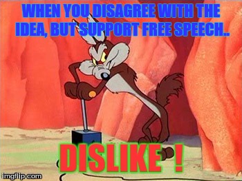 WHEN YOU DISAGREE WITH THE IDEA, BUT SUPPORT FREE SPEECH.. | image tagged in dislike | made w/ Imgflip meme maker