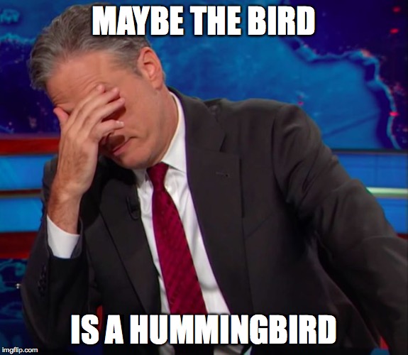 Jon Stewart Face-palm | MAYBE THE BIRD IS A HUMMINGBIRD | image tagged in jon stewart face-palm | made w/ Imgflip meme maker