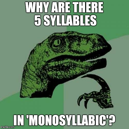Philosoraptor Meme | WHY ARE THERE 5 SYLLABLES IN 'MONOSYLLABIC'? | image tagged in memes,philosoraptor | made w/ Imgflip meme maker