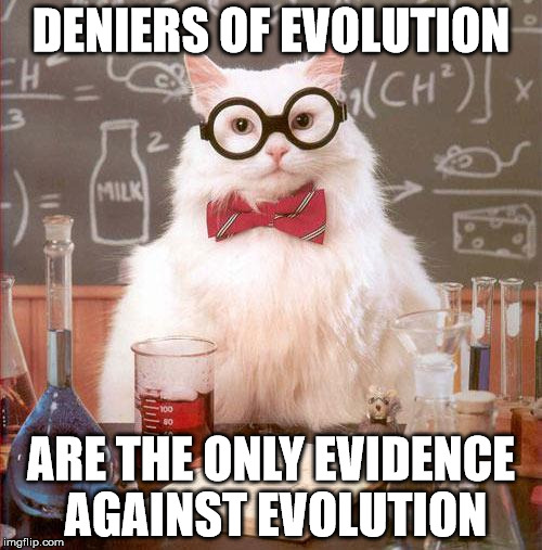 The evidence is overwhelming. | DENIERS OF EVOLUTION ARE THE ONLY EVIDENCE AGAINST EVOLUTION | image tagged in science cat,memes | made w/ Imgflip meme maker
