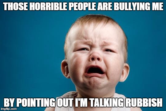 BABY CRYING | THOSE HORRIBLE PEOPLE ARE BULLYING ME BY POINTING OUT I'M TALKING RUBBISH | image tagged in baby crying | made w/ Imgflip meme maker