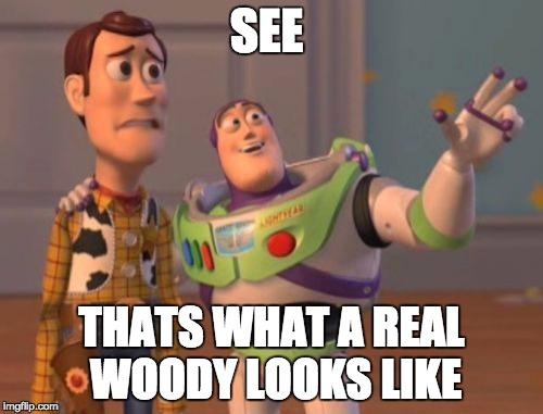 X, X Everywhere Meme | SEE THATS WHAT A REAL WOODY LOOKS LIKE | image tagged in memes,x x everywhere | made w/ Imgflip meme maker