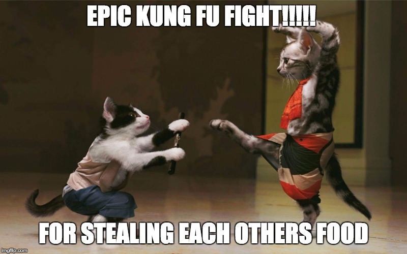 EPIC KUNG FU FIGHT!!!!! FOR STEALING EACH OTHERS FOOD | image tagged in funny | made w/ Imgflip meme maker