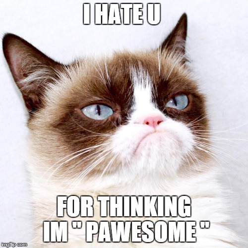 I HATE U FOR THINKING IM " PAWESOME " | image tagged in grumpy cat | made w/ Imgflip meme maker