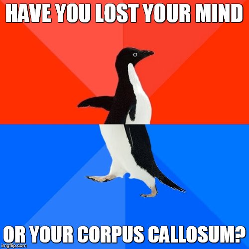Socially Awesome Awkward Penguin | HAVE YOU LOST YOUR MIND OR YOUR CORPUS CALLOSUM? | image tagged in memes,socially awesome awkward penguin | made w/ Imgflip meme maker