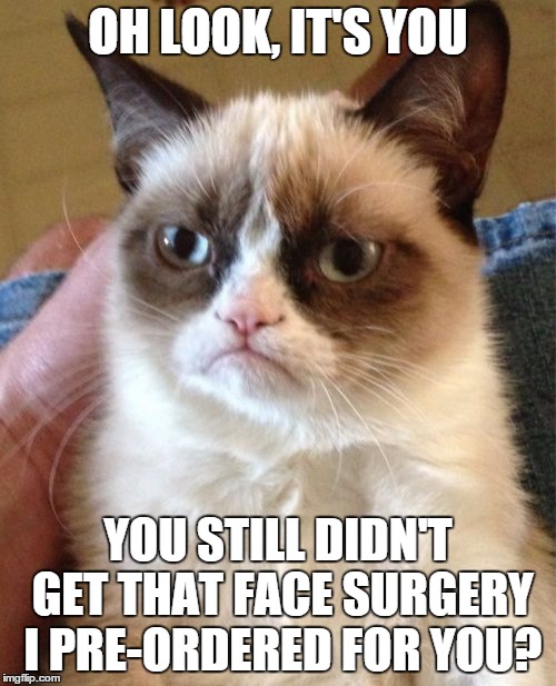 Grumpy Cat | OH LOOK, IT'S YOU YOU STILL DIDN'T GET THAT FACE SURGERY I PRE-ORDERED FOR YOU? | image tagged in memes,grumpy cat | made w/ Imgflip meme maker