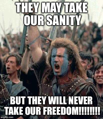 Braveheart | THEY MAY TAKE OUR SANITY BUT THEY WILL NEVER TAKE OUR FREEDOM!!!!!!!! | image tagged in braveheart | made w/ Imgflip meme maker