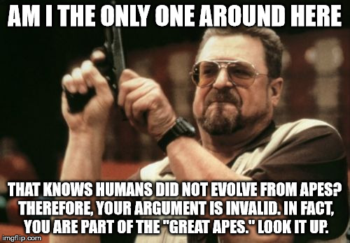 Am I The Only One Around Here Meme | AM I THE ONLY ONE AROUND HERE THAT KNOWS HUMANS DID NOT EVOLVE FROM APES? THEREFORE, YOUR ARGUMENT IS INVALID. IN FACT, YOU ARE PART OF THE  | image tagged in memes,am i the only one around here | made w/ Imgflip meme maker