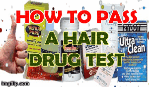 Pass Drug testing | image tagged in gifs | made w/ Imgflip images-to-gif maker