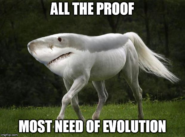 Um, we found a new "species" today...* | ALL THE PROOF MOST NEED OF EVOLUTION | image tagged in shark horse,evolution,bullshit,butthurt | made w/ Imgflip meme maker