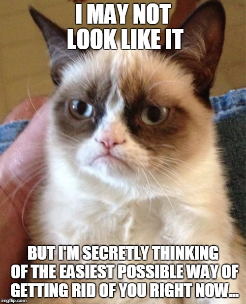 When I stuck listening to someone I really don't apreciate... | I MAY NOT LOOK LIKE IT BUT I'M SECRETLY THINKING OF THE EASIEST POSSIBLE WAY OF GETTING RID OF YOU RIGHT NOW... | image tagged in memes,grumpy cat | made w/ Imgflip meme maker
