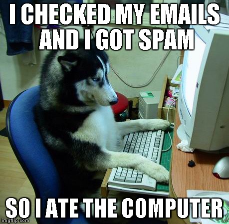 I Have No Idea What I Am Doing Meme | I CHECKED MY EMAILS  AND I GOT SPAM SO I ATE THE COMPUTER | image tagged in memes,i have no idea what i am doing | made w/ Imgflip meme maker