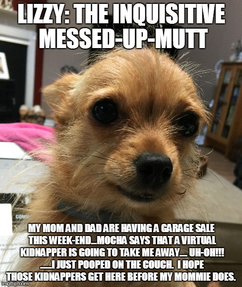 Lizzy The Inquisitive Messed-up-Mutt | LIZZY: THE INQUISITIVE MESSED-UP-MUTT MY MOM AND DAD ARE HAVING A GARAGE SALE THIS WEEK-END...MOCHA SAYS THAT A VIRTUAL KIDNAPPER IS GOING T | image tagged in funny dogs,funny,funny memes | made w/ Imgflip meme maker