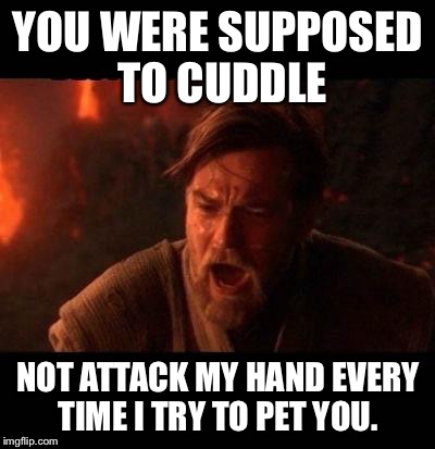 Obi Wan destroy them not join them | YOU WERE SUPPOSED TO CUDDLE NOT ATTACK MY HAND EVERY TIME I TRY TO PET YOU. | image tagged in obi wan destroy them not join them | made w/ Imgflip meme maker