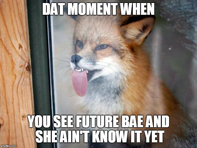 Thirsty_Fox | DAT MOMENT WHEN YOU SEE FUTURE BAE AND SHE AIN'T KNOW IT YET | image tagged in thirsty_fox,thirsty,bae,sex,fox | made w/ Imgflip meme maker