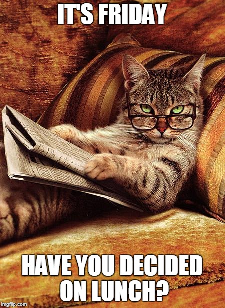 cat reading | IT'S FRIDAY HAVE YOU DECIDED ON LUNCH? | image tagged in cat reading,lunch | made w/ Imgflip meme maker