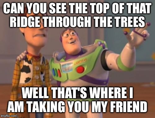 X, X Everywhere Meme | CAN YOU SEE THE TOP OF THAT RIDGE THROUGH THE TREES WELL THAT'S WHERE I AM TAKING YOU MY FRIEND | image tagged in memes,x x everywhere | made w/ Imgflip meme maker