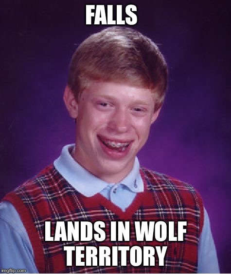 In wolf territory | FALLS LANDS IN WOLF TERRITORY | image tagged in memes,bad luck brian,wolf | made w/ Imgflip meme maker