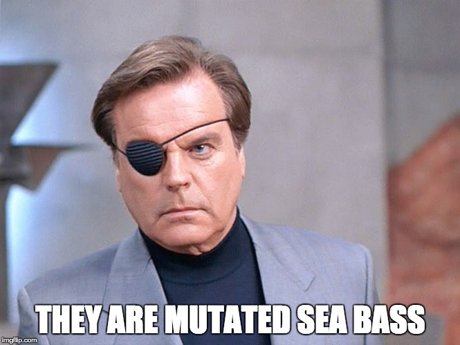 THEY ARE MUTATED SEA BASS | image tagged in austin powers | made w/ Imgflip meme maker