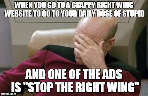 im not siding with rightwing at all

just saying how stupid they were to allow that on their website  | WHEN YOU GO TO A CRAPPY RIGHT WING WEBSITE TO GO TO YOUR DAILY DOSE OF STUPID AND ONE OF THE ADS IS "STOP THE RIGHT WING" | image tagged in memes,captain picard facepalm | made w/ Imgflip meme maker