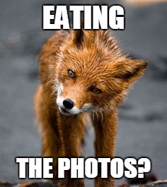 EATING THE PHOTOS? | made w/ Imgflip meme maker