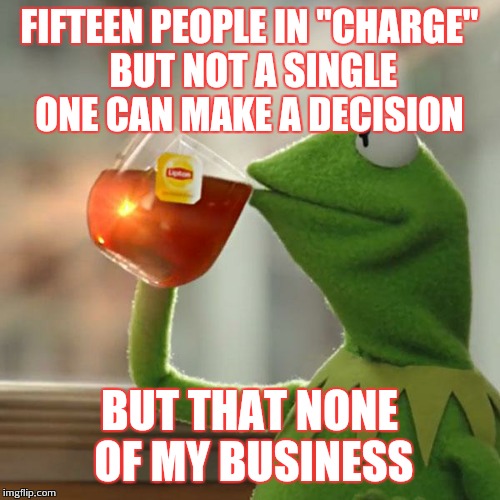 But That's None Of My Business | FIFTEEN PEOPLE IN "CHARGE" BUT NOT A SINGLE ONE CAN MAKE A DECISION BUT THAT NONE OF MY BUSINESS | image tagged in memes,but thats none of my business,kermit the frog | made w/ Imgflip meme maker