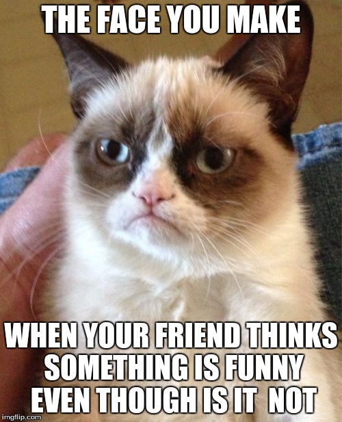 Grumpy Cat | THE FACE YOU MAKE WHEN YOUR FRIEND THINKS SOMETHING IS FUNNY EVEN THOUGH IS IT  NOT | image tagged in memes,grumpy cat | made w/ Imgflip meme maker