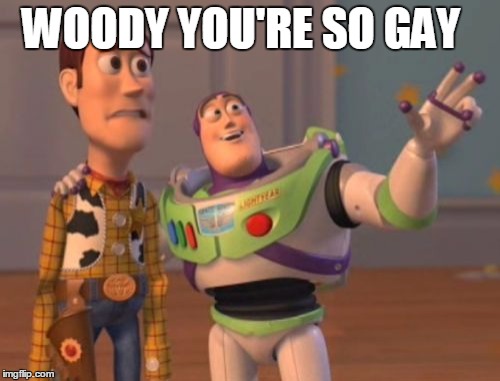 X, X Everywhere | WOODY YOU'RE SO GAY | image tagged in memes,x x everywhere | made w/ Imgflip meme maker