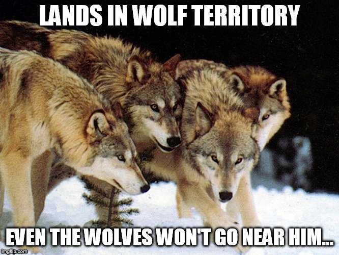 LANDS IN WOLF TERRITORY EVEN THE WOLVES WON'T GO NEAR HIM... | made w/ Imgflip meme maker