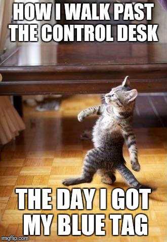 Cool Cat Stroll | HOW I WALK PAST THE CONTROL DESK THE DAY I GOT MY BLUE TAG | image tagged in memes,cool cat stroll | made w/ Imgflip meme maker