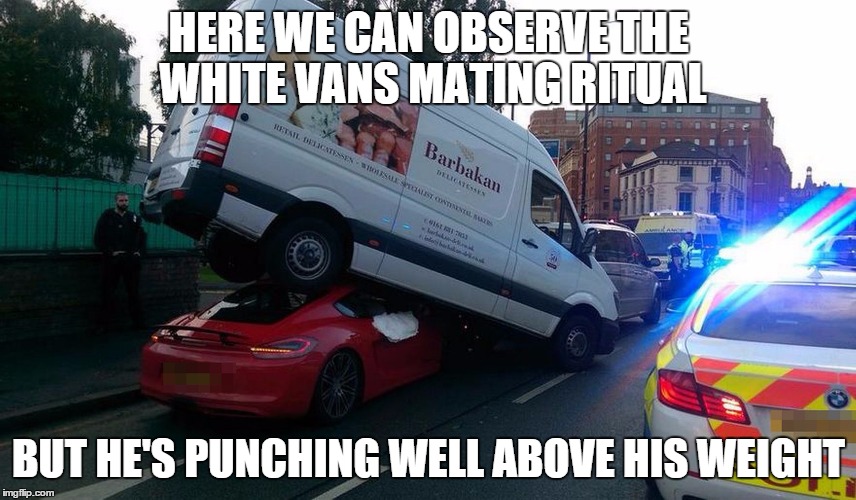 mating ritual | HERE WE CAN OBSERVE THE WHITE VANS MATING RITUAL BUT HE'S PUNCHING WELL ABOVE HIS WEIGHT | image tagged in white van,mating,porche | made w/ Imgflip meme maker