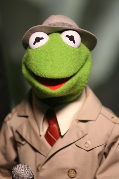 Kermit Reporter Meme Generator Imgflip