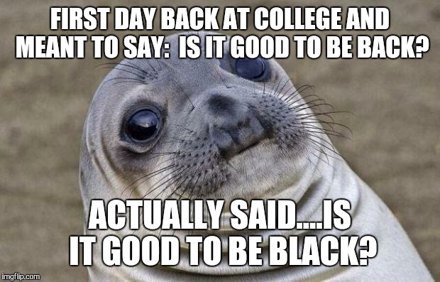 He was an asian guy!! | FIRST DAY BACK AT COLLEGE AND MEANT TO SAY:  IS IT GOOD TO BE BACK? ACTUALLY SAID....IS IT GOOD TO BE BLACK? | image tagged in memes,awkward moment sealion | made w/ Imgflip meme maker