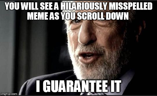 I guarantee it | YOU WILL SEE A HILARIOUSLY MISSPELLED MEME AS YOU SCROLL DOWN I GUARANTEE IT | image tagged in i guarantee it | made w/ Imgflip meme maker