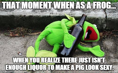 Drunk Kermit | THAT MOMENT WHEN AS A FROG... WHEN YOU REALIZE THERE JUST ISN'T ENOUGH LIQUOR TO MAKE A PIG LOOK SEXY. | image tagged in drunk kermit | made w/ Imgflip meme maker