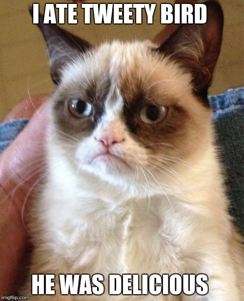 Grumpy Cat | I ATE TWEETY BIRD HE WAS DELICIOUS | image tagged in memes,grumpy cat | made w/ Imgflip meme maker