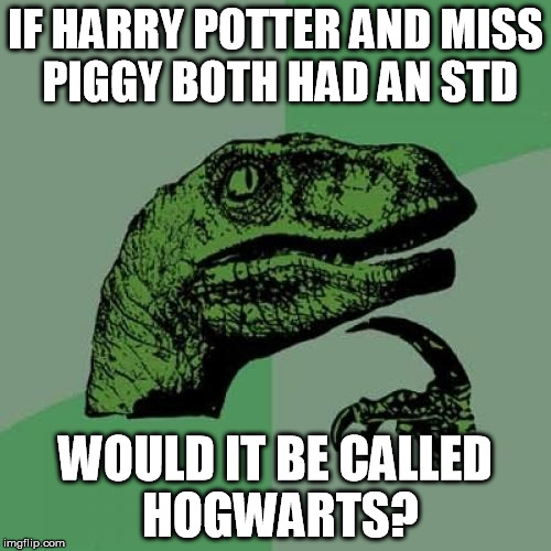 Philosoraptor | IF HARRY POTTER AND MISS PIGGY BOTH HAD AN STD WOULD IT BE CALLED HOGWARTS? | image tagged in memes,philosoraptor | made w/ Imgflip meme maker