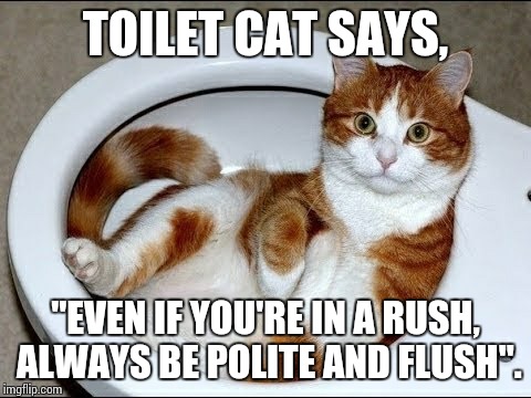 Toilet Cat | TOILET CAT SAYS, "EVEN IF YOU'RE IN A RUSH, ALWAYS BE POLITE AND FLUSH". | image tagged in toilet cat | made w/ Imgflip meme maker