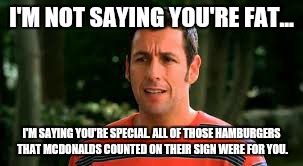 Adam Sandler | I'M NOT SAYING YOU'RE FAT... I'M SAYING YOU'RE SPECIAL. ALL OF THOSE HAMBURGERS THAT MCDONALDS COUNTED ON THEIR SIGN WERE FOR YOU. | image tagged in adam sandler | made w/ Imgflip meme maker