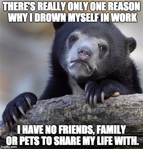 Confession Bear | THERE'S REALLY ONLY ONE REASON WHY I DROWN MYSELF IN WORK I HAVE NO FRIENDS, FAMILY OR PETS TO SHARE MY LIFE WITH. | image tagged in memes,confession bear,AdviceAnimals | made w/ Imgflip meme maker