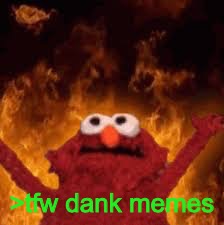 >tfw dank memes | made w/ Imgflip meme maker