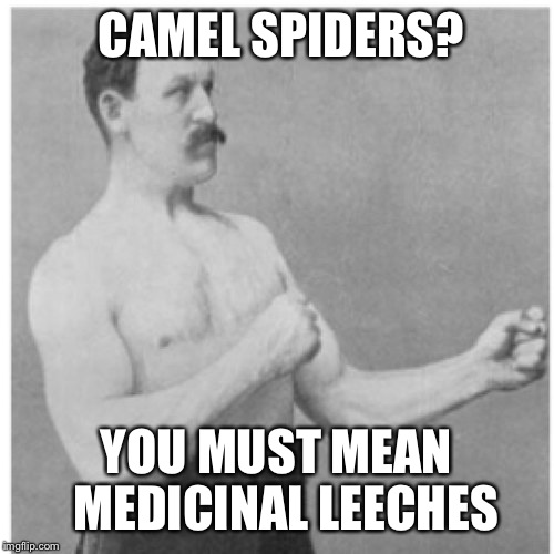 Overly Manly Man | CAMEL SPIDERS? YOU MUST MEAN 
MEDICINAL LEECHES | image tagged in memes,overly manly man | made w/ Imgflip meme maker