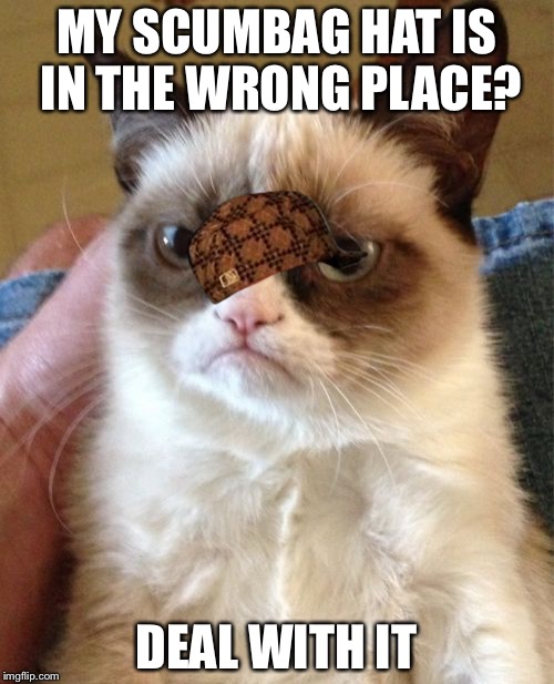 Grumpy Cat Meme | MY SCUMBAG HAT IS IN THE WRONG PLACE? DEAL WITH IT | image tagged in memes,grumpy cat,scumbag | made w/ Imgflip meme maker