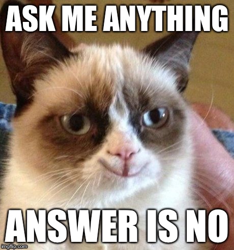 grumpy smile | ASK ME ANYTHING ANSWER IS NO | image tagged in grumpy smile | made w/ Imgflip meme maker