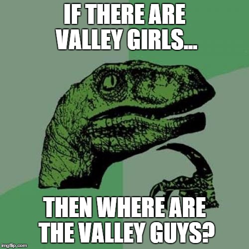 Philosoraptor | IF THERE ARE VALLEY GIRLS... THEN WHERE ARE THE VALLEY GUYS? | image tagged in memes,philosoraptor | made w/ Imgflip meme maker