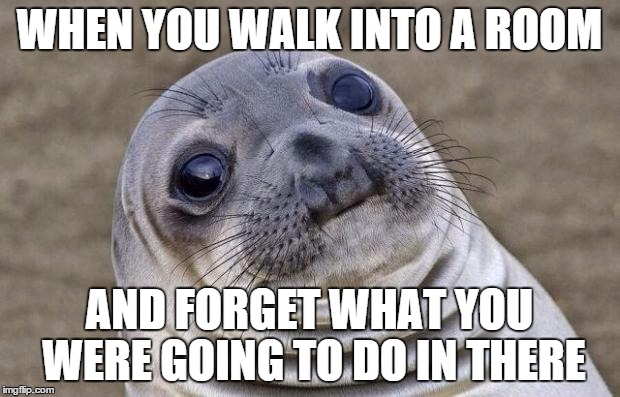 Awkward Moment Sealion | WHEN YOU WALK INTO A ROOM AND FORGET WHAT YOU WERE GOING TO DO IN THERE | image tagged in memes,awkward moment sealion | made w/ Imgflip meme maker