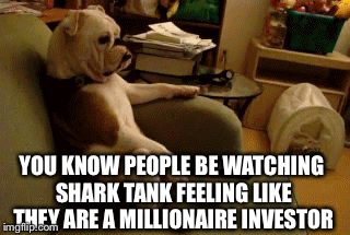 Dog watching tv | YOU KNOW PEOPLE BE WATCHING SHARK TANK FEELING LIKE THEY ARE A MILLIONAIRE INVESTOR | image tagged in dog watching tv | made w/ Imgflip meme maker