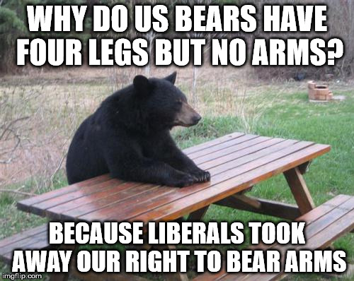 Even though I'm a leftist, I admit we do have our share of wackos and idiots, too. | WHY DO US BEARS HAVE FOUR LEGS BUT NO ARMS? BECAUSE LIBERALS TOOK AWAY OUR RIGHT TO BEAR ARMS | image tagged in memes,bad luck bear | made w/ Imgflip meme maker